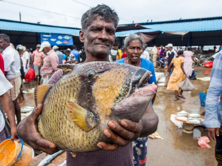 NEGOMBO