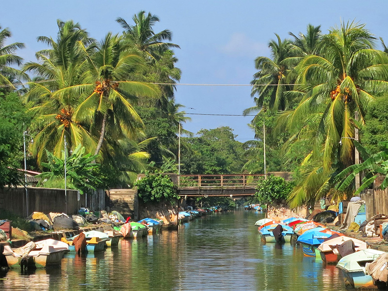 Negombo - Hamilton Canal