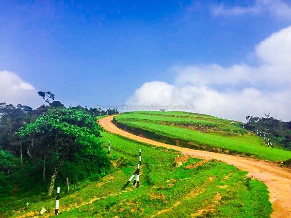 Nuwara Eliya - Moon Plains