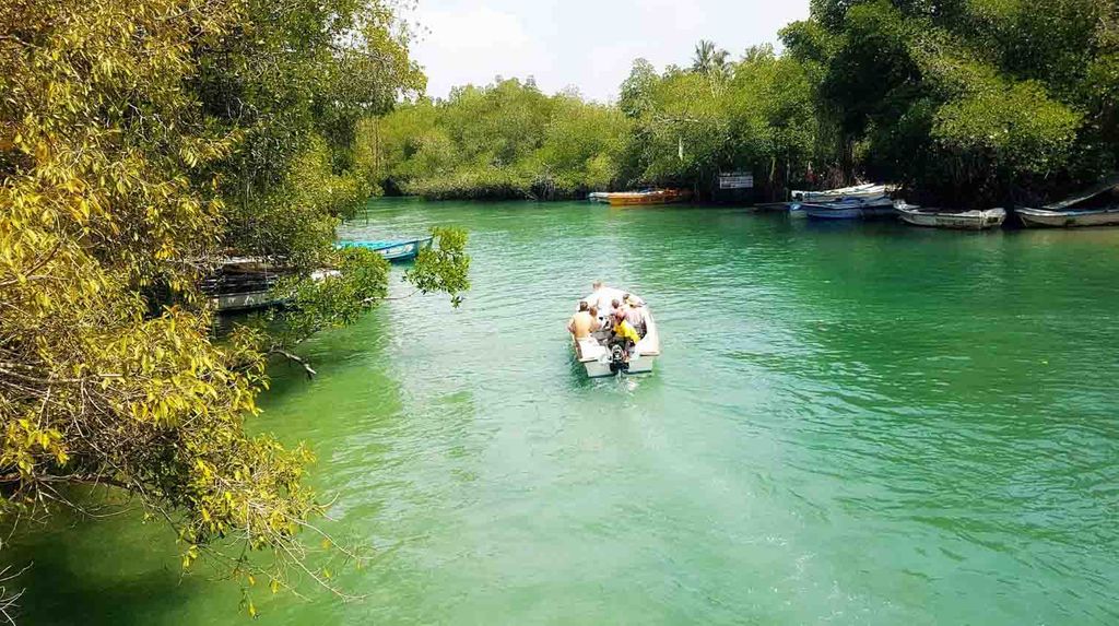 South Coast - Balapitiya Madu River boat ride