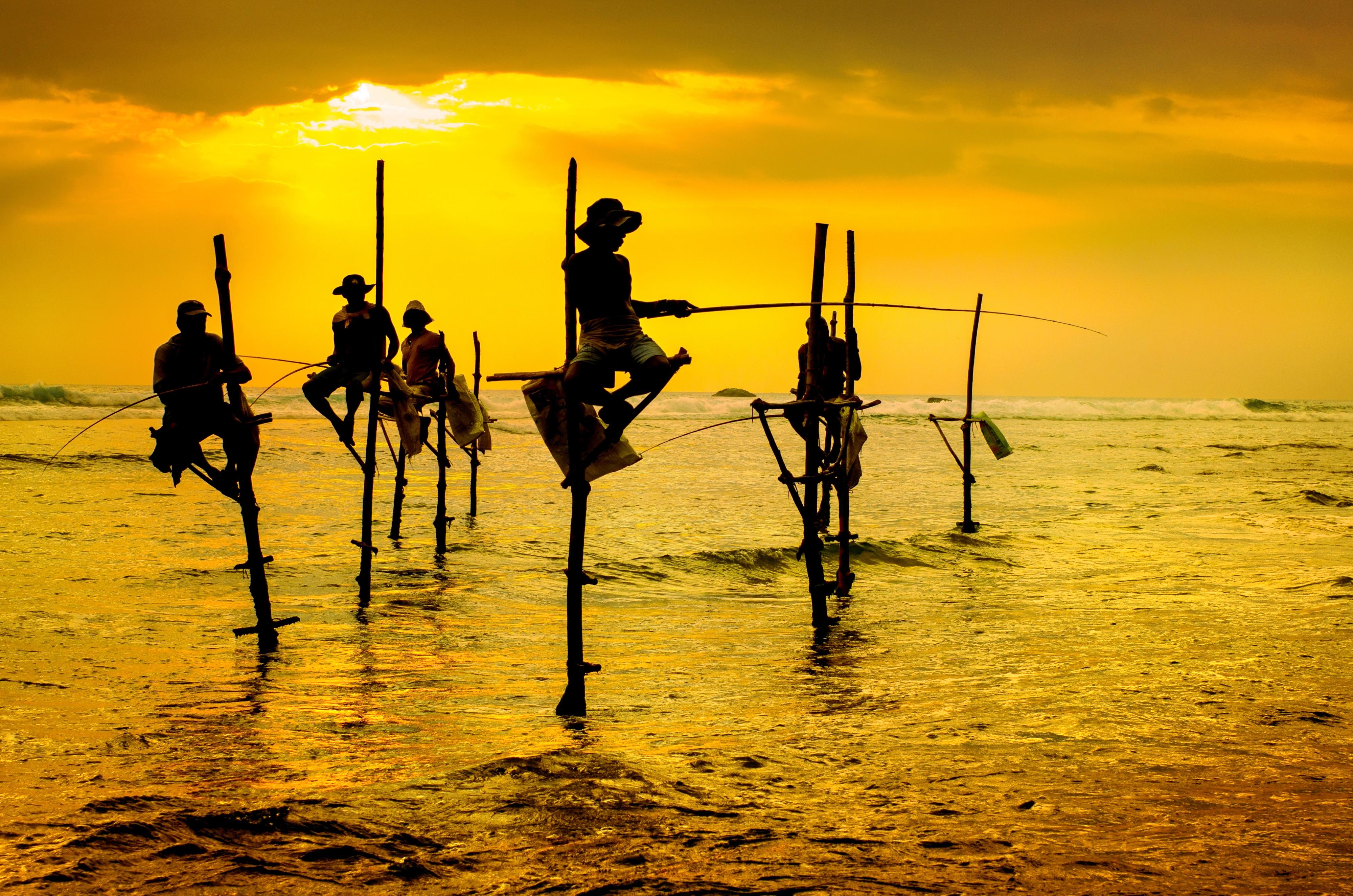 South Coast - Koggala Stilt Fishing