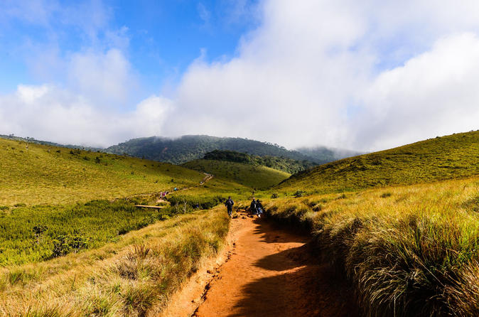 private-guided-hike-to-kirigalpoththa-mountain-via-horton-plains-in-nuwara-eliya-360543